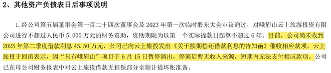 《只有峨眉山》演不下去了名导光环换不来钱？